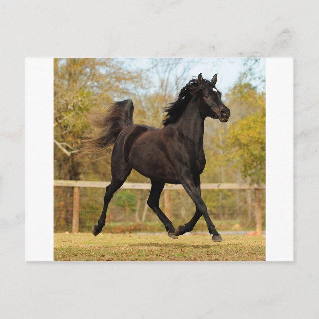 Floating on air postcard (Front)