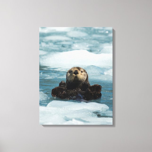Floating Otter Canvas Print (Front)