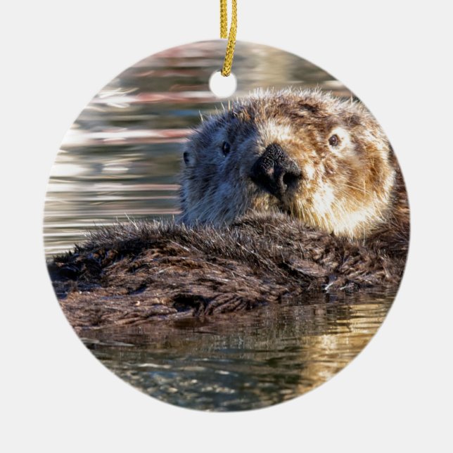 Floating Otter Ceramic Tree Decoration (Front)