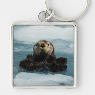 Floating Otter Key Ring