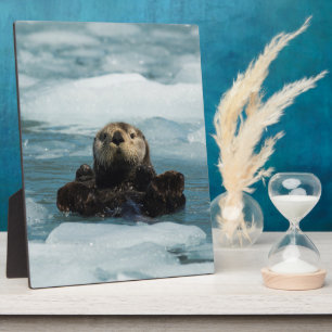Floating Otter Plaque