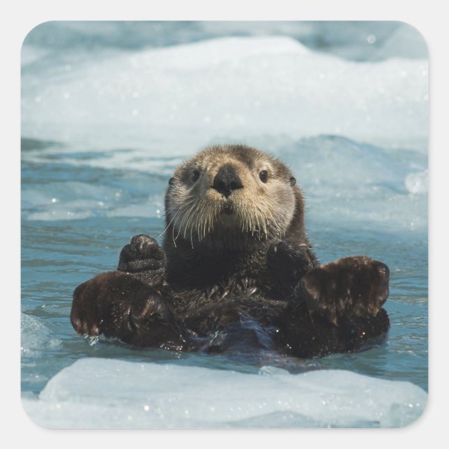 Floating Otter Square Sticker (Front)