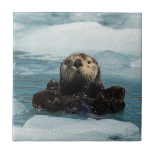 Floating Otter Tile