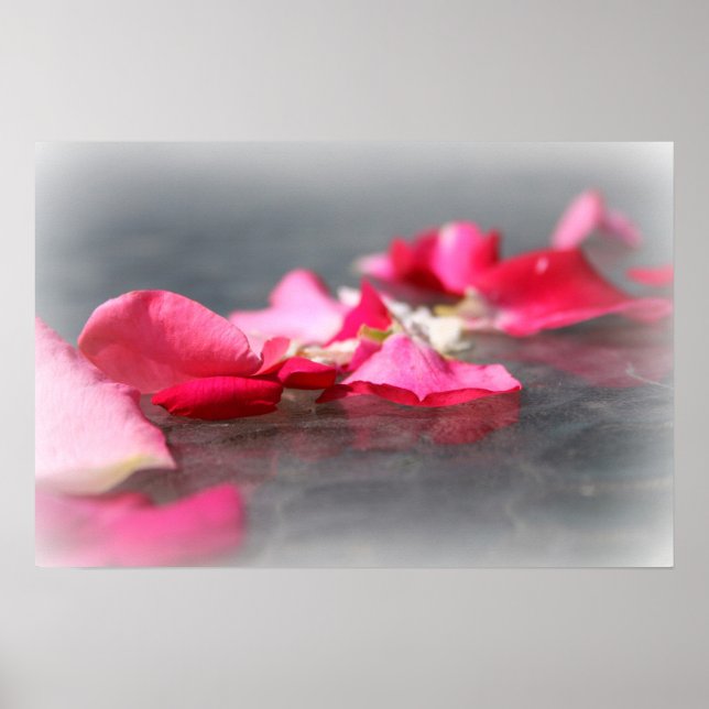Floating Pink Rose Petals on Water Poster (Front)