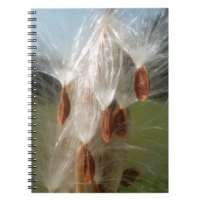 Floating Seeds: Milkweed Abstract Spiral Notebook (Front)