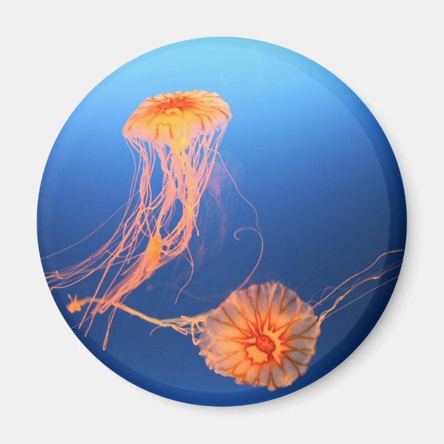 Floating Together Magnet (Front)