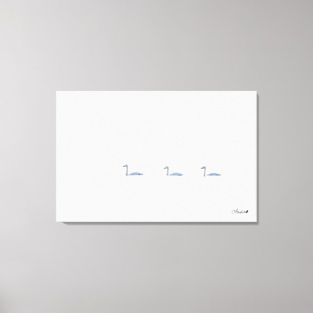 floating - tundra swan canvas print (Front)