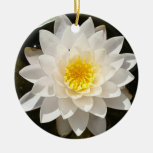 Floating White Waterlily Lotus  Ceramic Tree Decoration