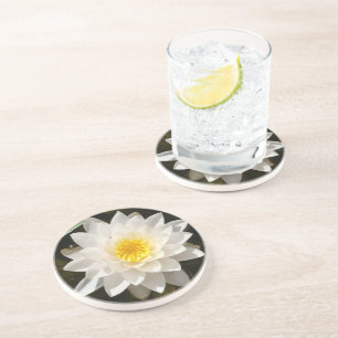 Floating White Waterlily Lotus  Coaster