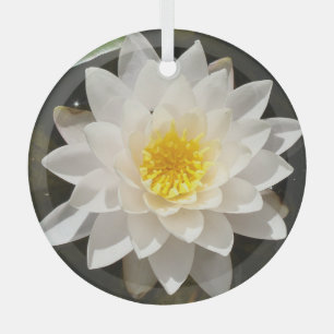 Floating White Waterlily Lotus  Glass Tree Decoration