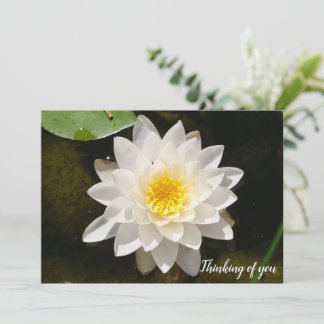 Floating White Waterlily Lotus Invitation