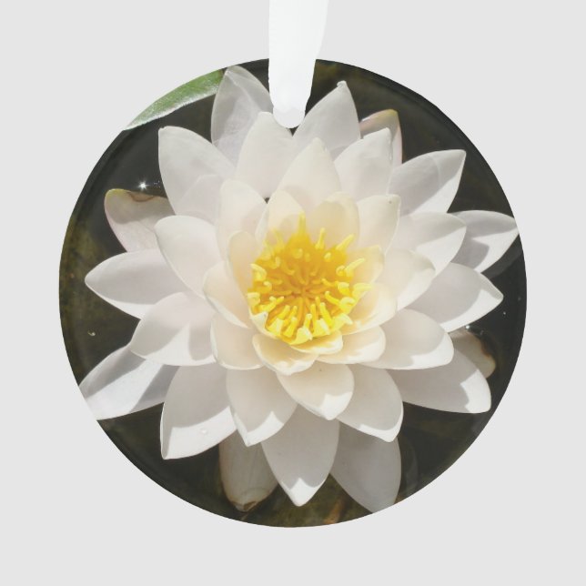 Floating White Waterlily Lotus Ornament (Front)