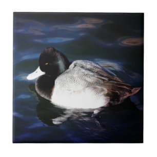 Floating With Sunshine Tile