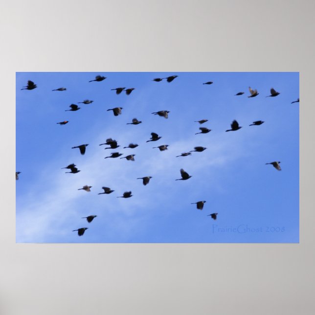 Flock 1 poster (Front)