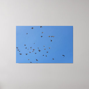 Flock of Birds Flying in Clear Blue Sky with Parag Canvas Print