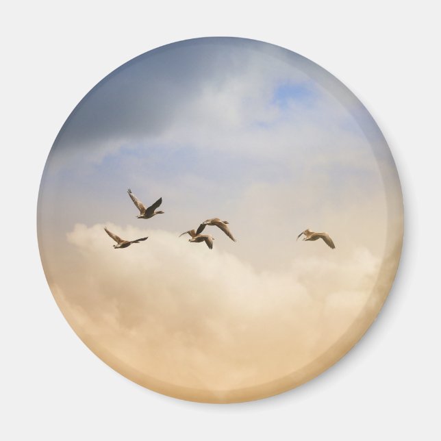 Flock of Birds in Flight Magnet (Front)
