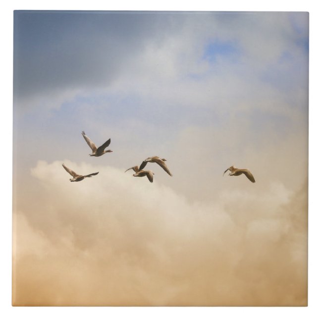 Flock of Birds in Flight Tile (Front)