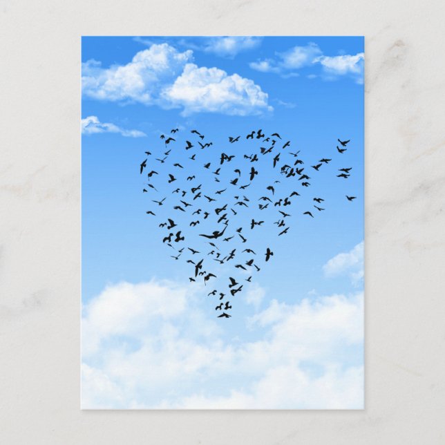 Flock of Birds Love Heart Postcard (Front)