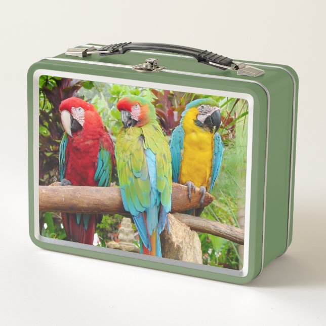 Flock of Colourful Macaw Parrots Metal Lunch Box (Front)