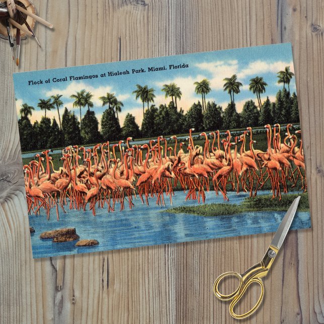 Flock of Coral Flamingos at Hialeah Park Miami Fl Tissue Paper (Creator Uploaded)