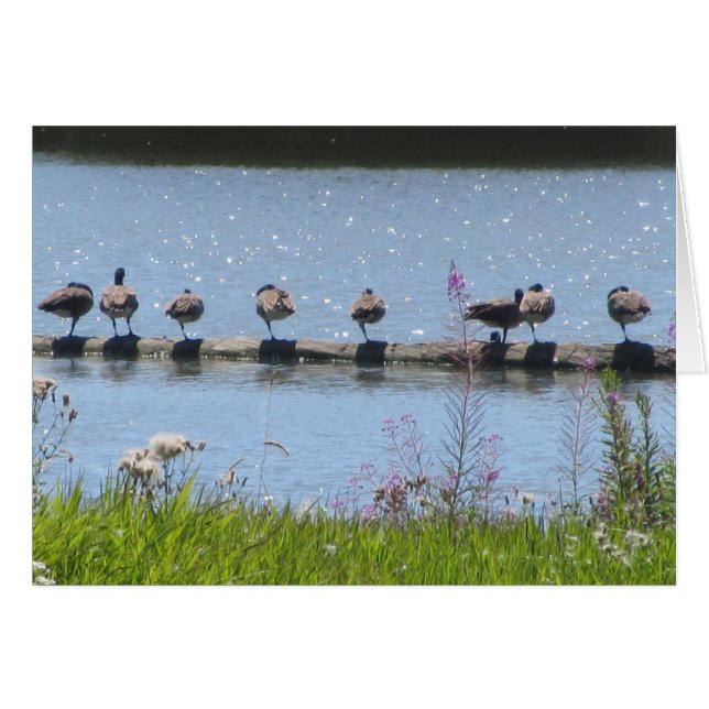 Flock of  Ducks on a Log (Front Horizontal)