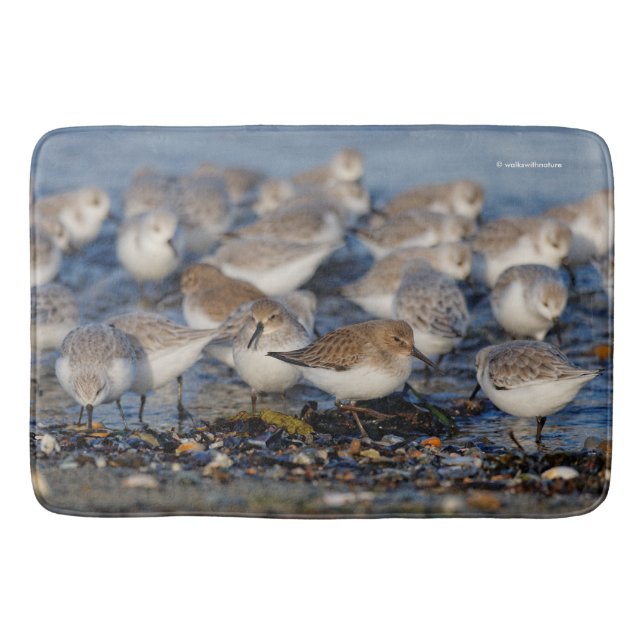 Flock of Dunlins and Sanderlings at the Beach Bath Mat (Front)