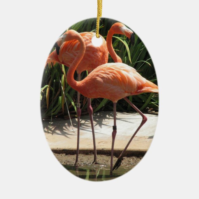 Flock of Flamingos Ornament (Front)