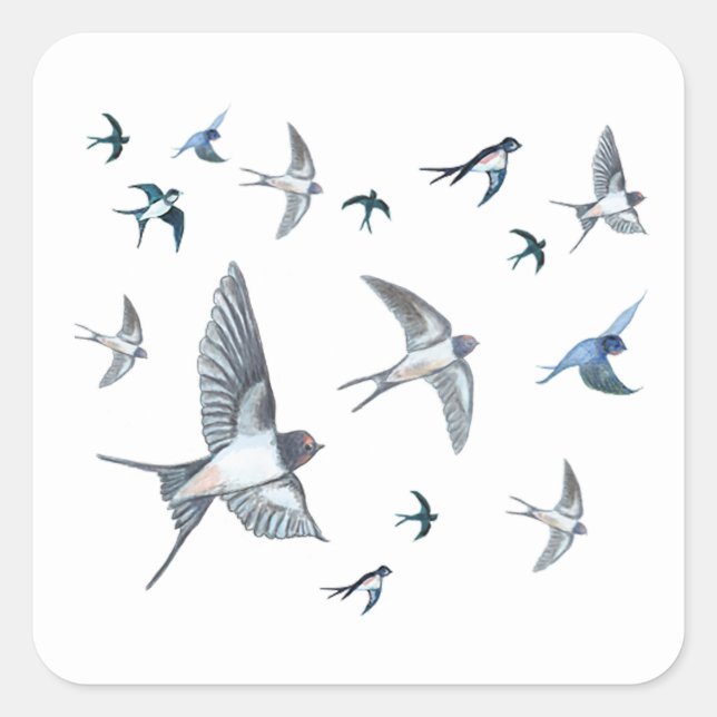 Flock Of Flying Swallow Birds Illustration Square Sticker (Front)