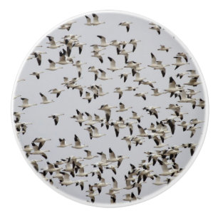 Flock of Geese in Flight Ceramic Knob