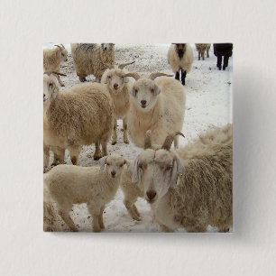 Flock of Goats 15 Cm Square Badge