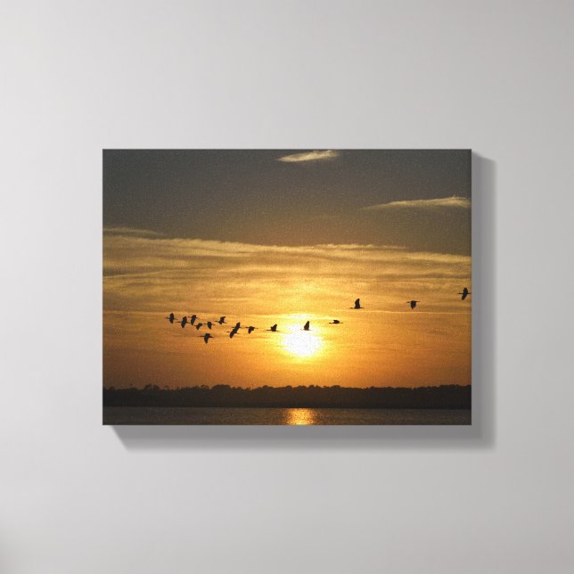 Flock of Heron birds at sunset Canvas Print (Front)