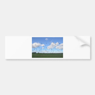 Flock Of Pigeons Bumper Sticker