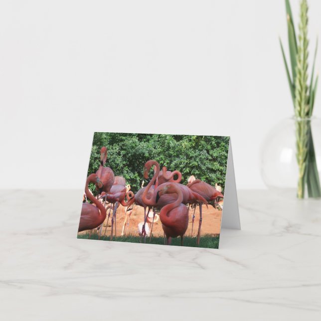 Flock Of Pink Flamingos on blank Note Card (Front)