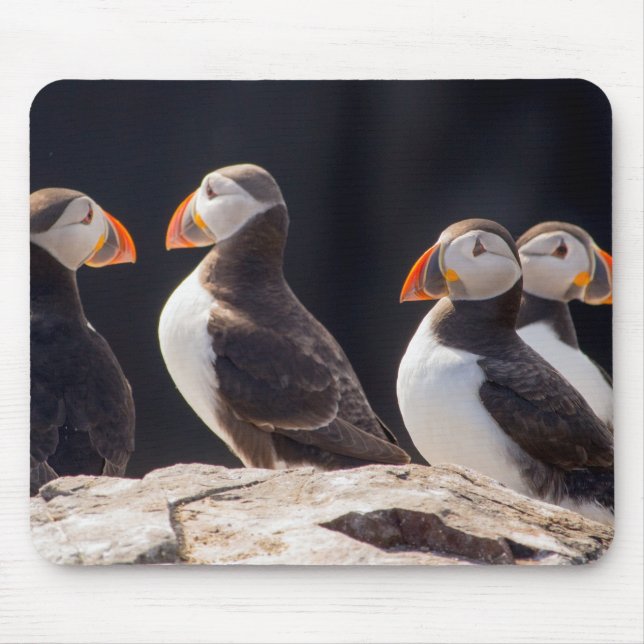 Flock of Puffins Mouse Pad (Front)