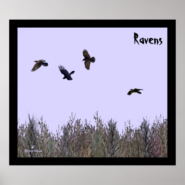 Flock of Ravens Poster (Front)
