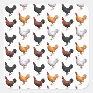 Flock Of Roosters Square Sticker
