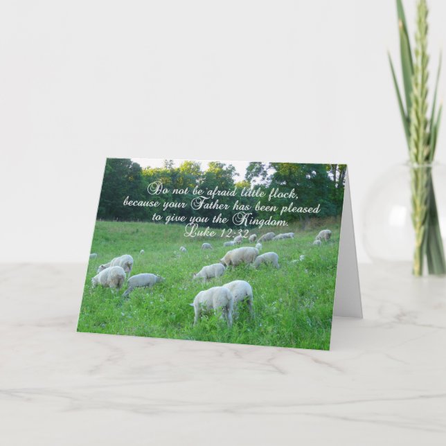Flock of Sheep-Bible verse. Holiday Card (Front)