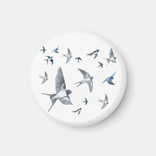  Flock of swallow birds flying  Magnet