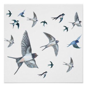  Flock of swallow birds flying Poster