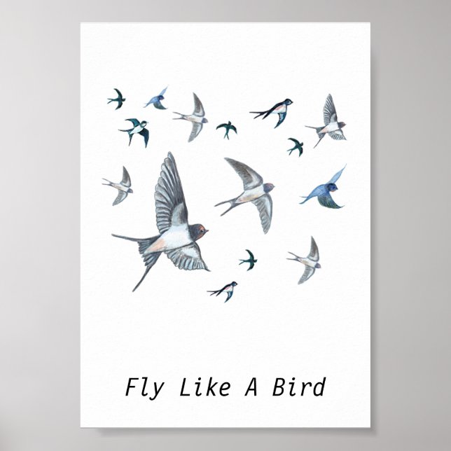 Flock Of Swallow Birds Illustration Personalised Poster (Front)