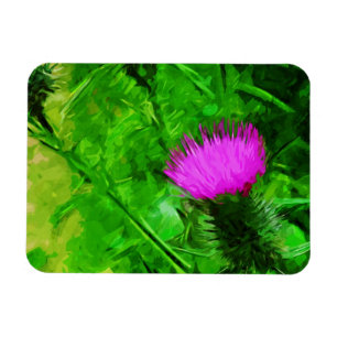 Flodmans Thistle Purple Wildflower Abstract Magnet