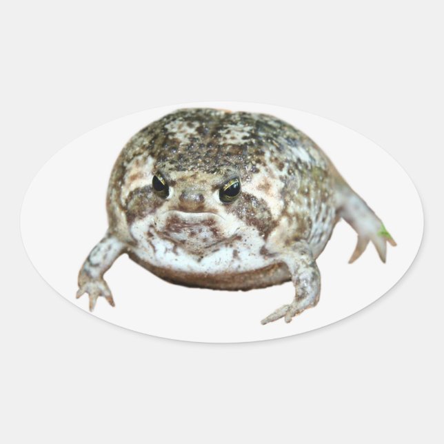 Flog Oval Sticker (Front)