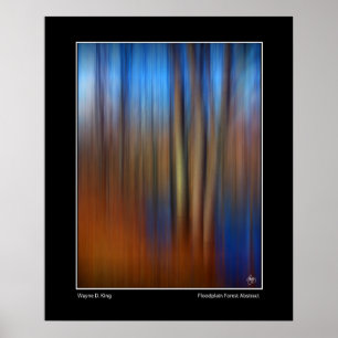 Floodplain Forest Abstract Poster