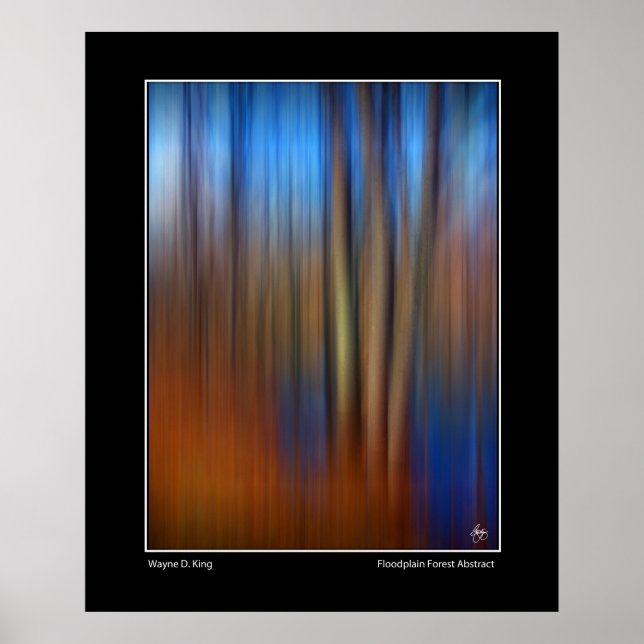 Floodplain Forest Abstract Poster (Front)