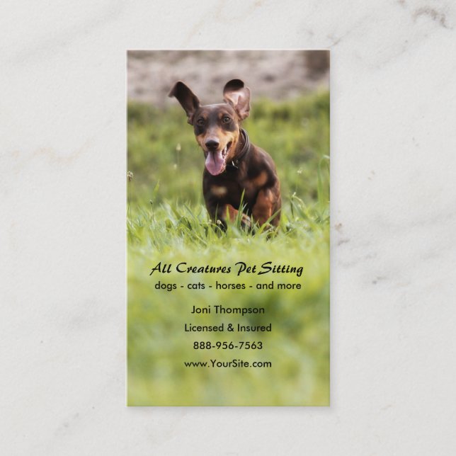 Floppy Dachshund Business Card (Front)