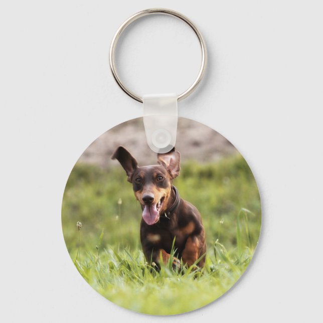 Floppy Dachshund Key Ring (Front)