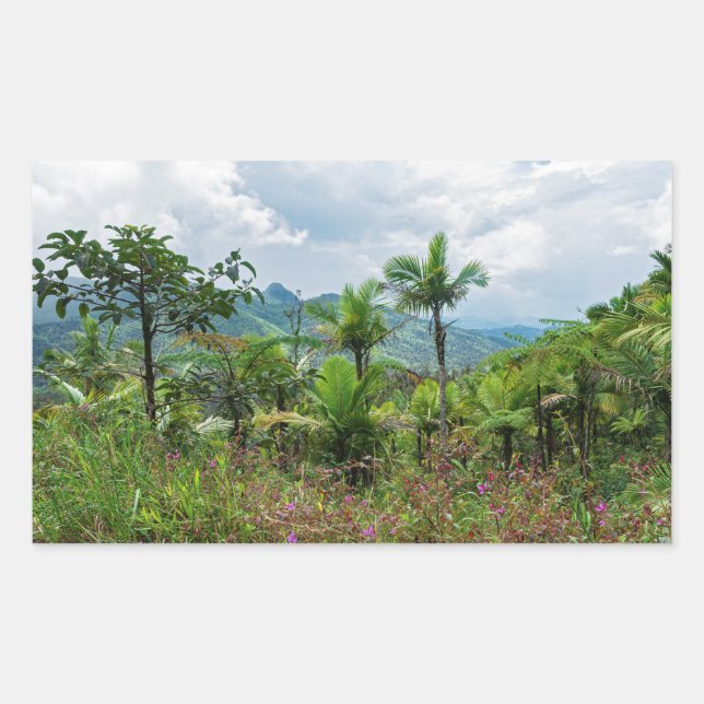 Flora and landscape of luquillo mountains rectangular sticker (Front)