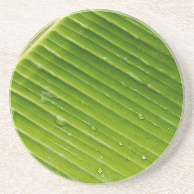 Flora Dominica 1 Coaster (Front)