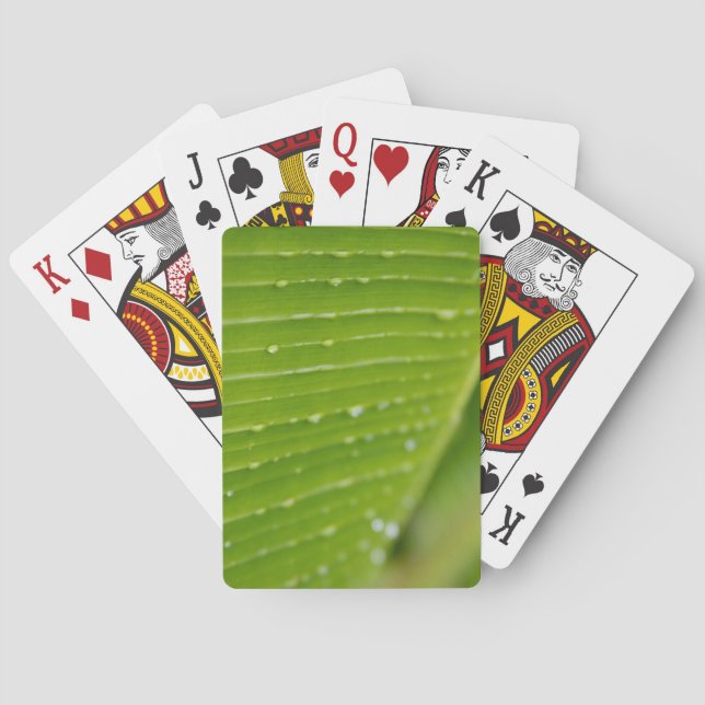 Flora Dominica 2 Playing Cards (Back)