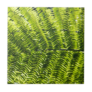 Flora Dominica 5 Tile